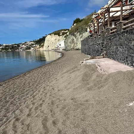 Chloe By My Collection Ischia